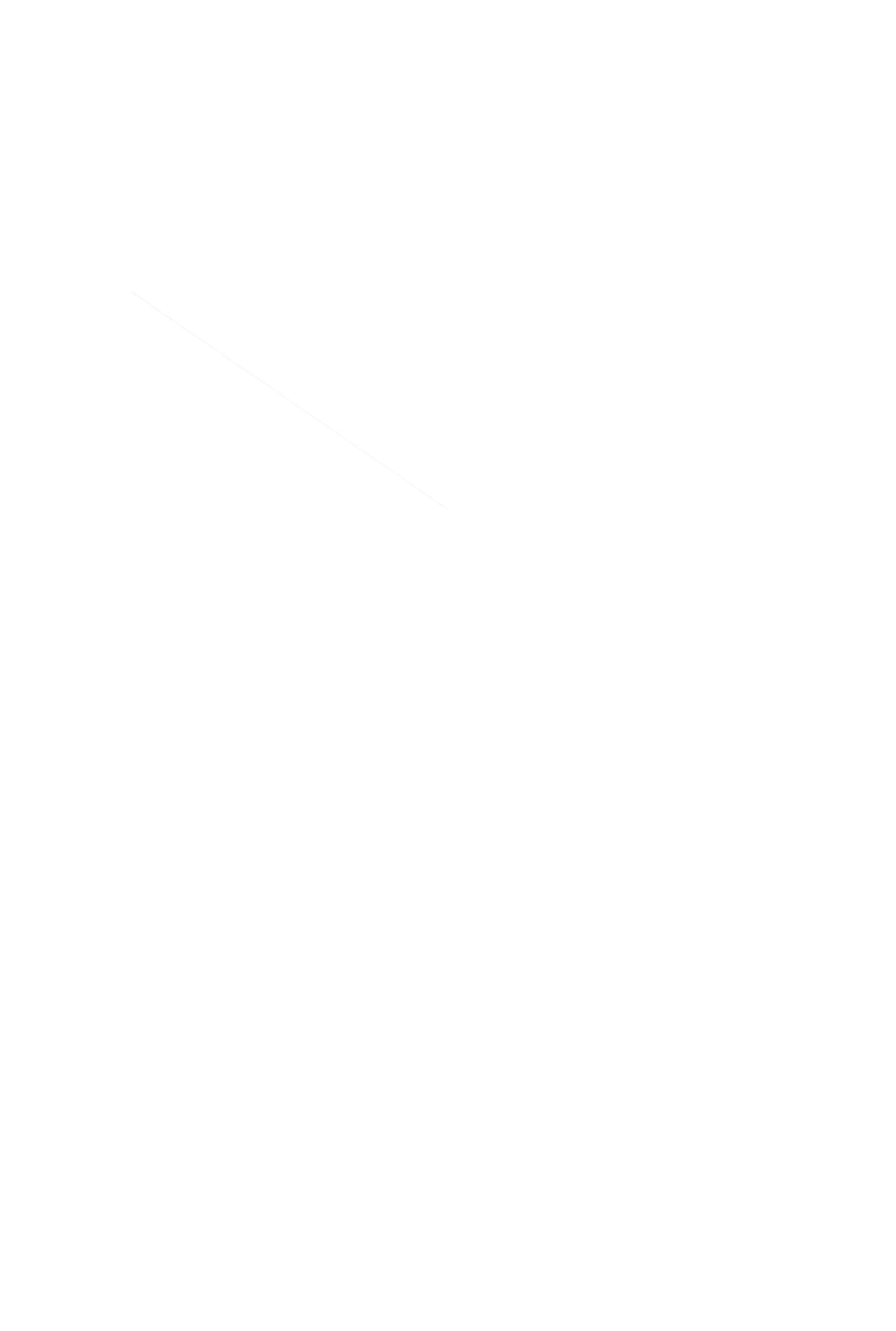 SaltaDev